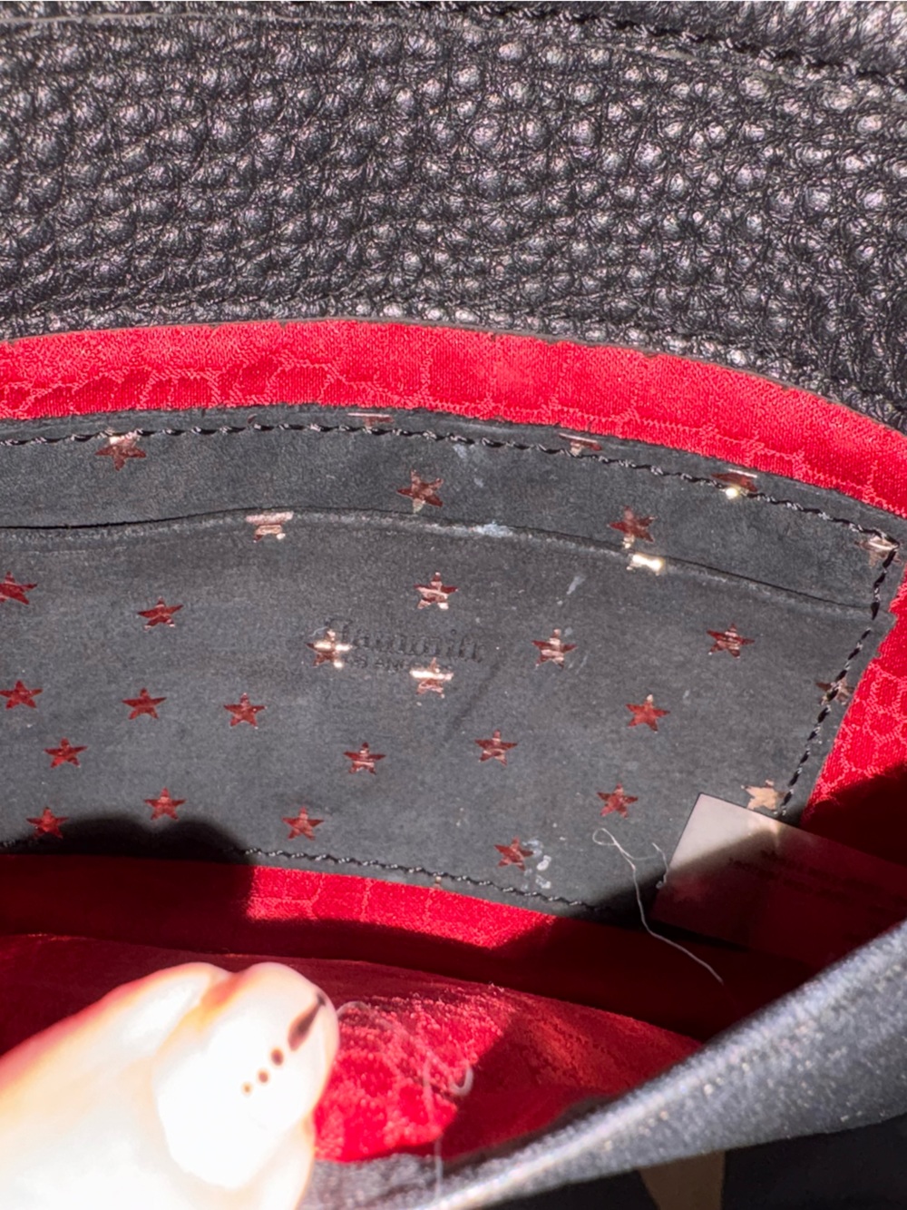 Rare Hammitt Leather & Star Crossbody Bag - Picture 8 of 10